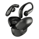 OEM Earbuds