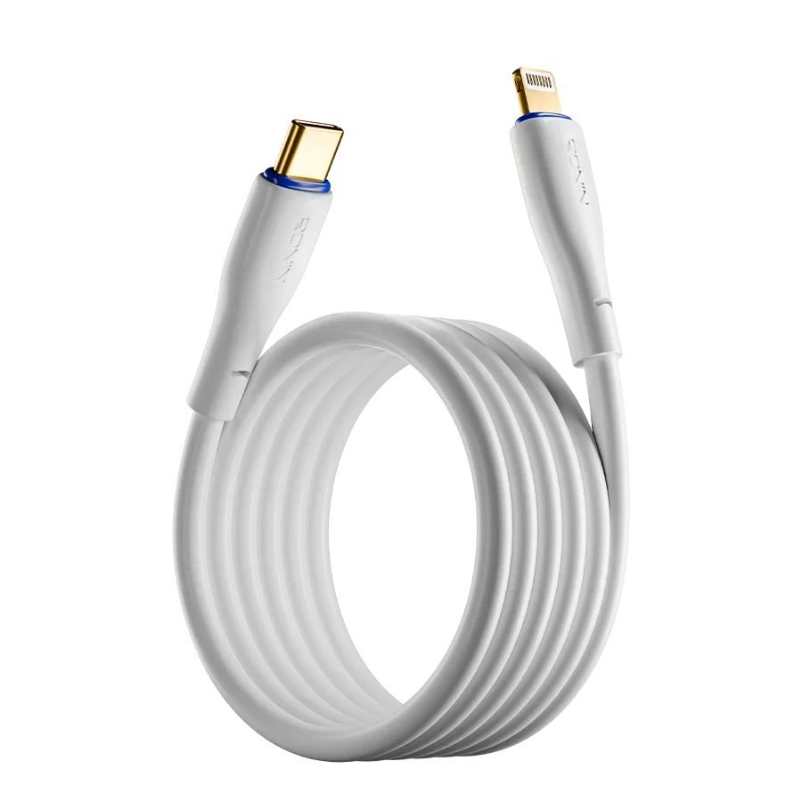 R-2010 - Type C to Iphone