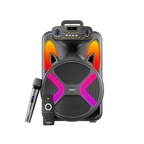 L-265 Ronaq | 12 inch Wireless Speaker 