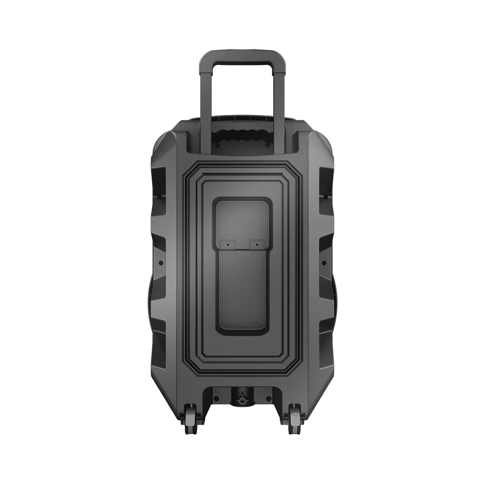 L-266 Ronaq | 15 inch wireless speaker 