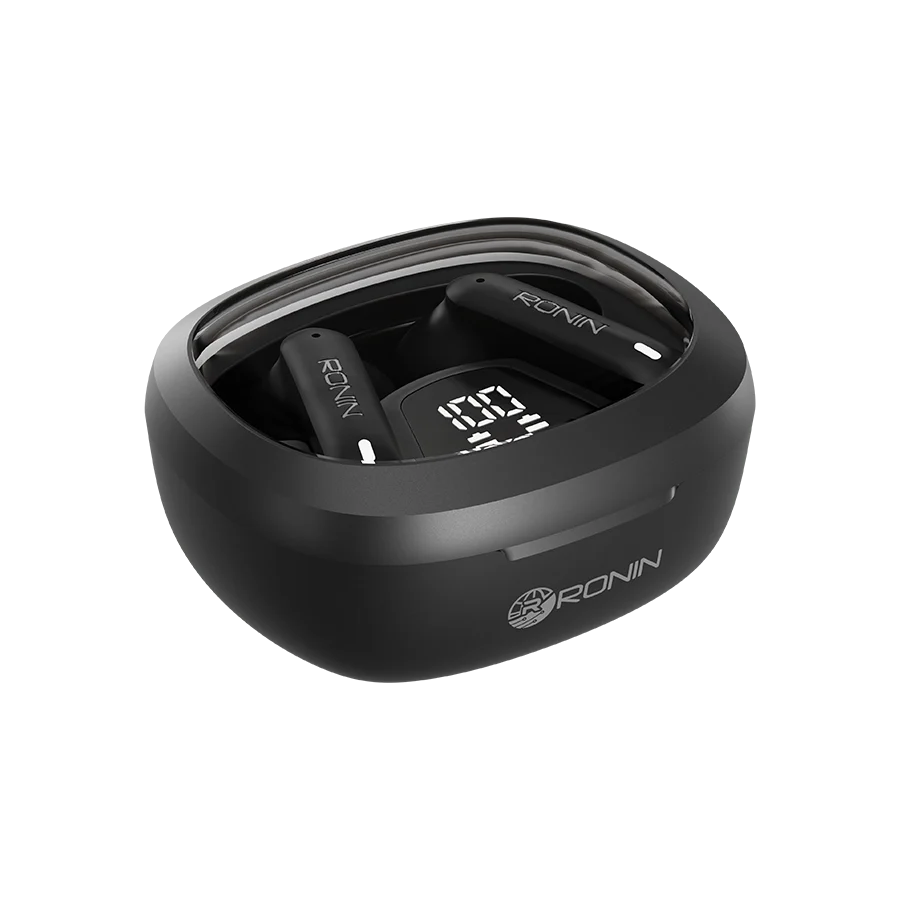 R-540 EarBuds
