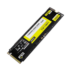 L-NM-1 NVME 256GB