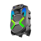 L-266 Ronaq | 15 inch wireless speaker 